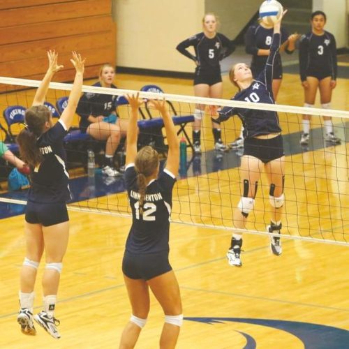 Viking volleyball team playing a game