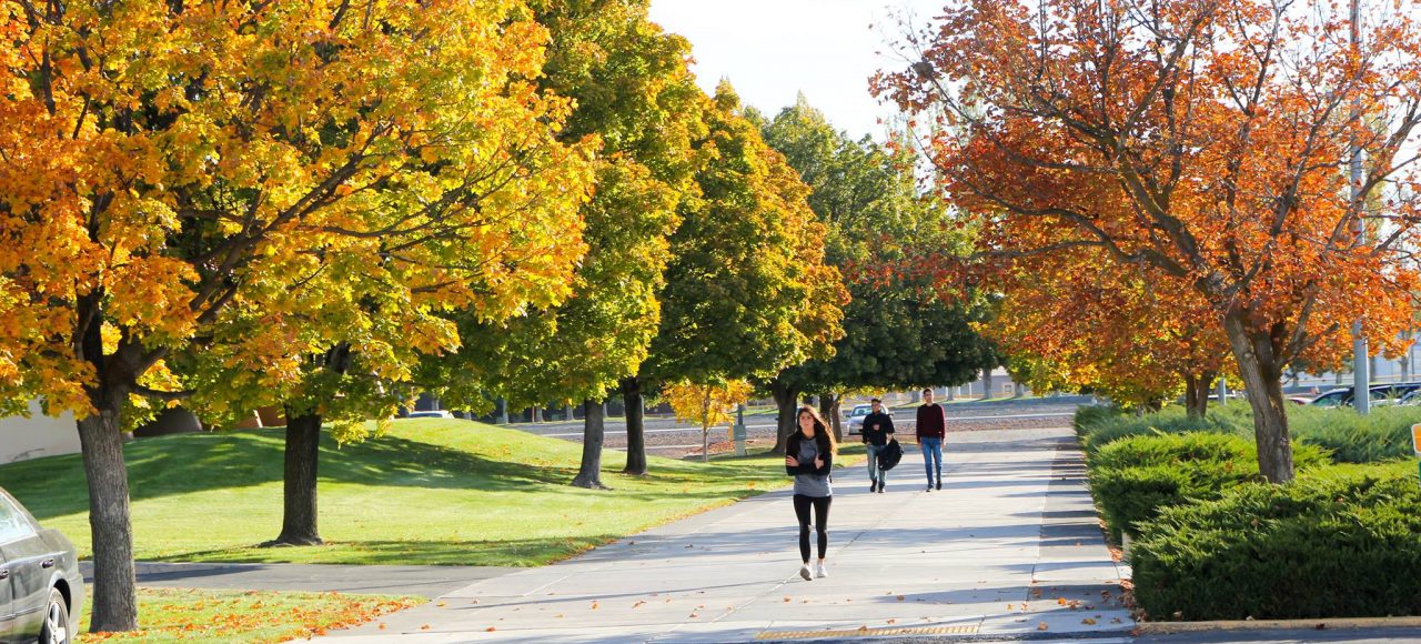 Students walking under trees in Fall