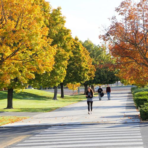 Students walking under trees in Fall