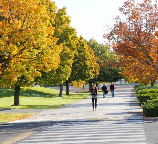 Students walking under trees in Fall