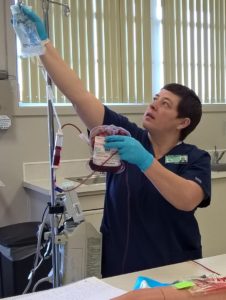 Level II Nursing Student in lab; blood transfusions