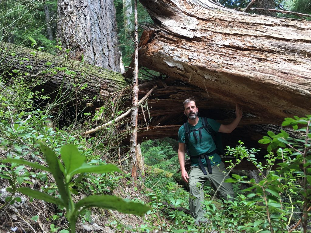 man standing under a large log