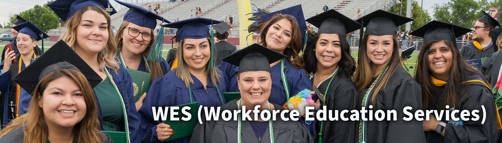 Website header for Workforce Education Services Department