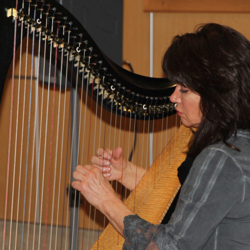 Harpist Rena Hopson provided background music in the Peterson Gallery during the event.