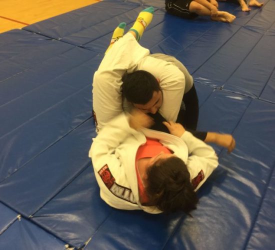 Jiu-Jitsu club members rolling on mats